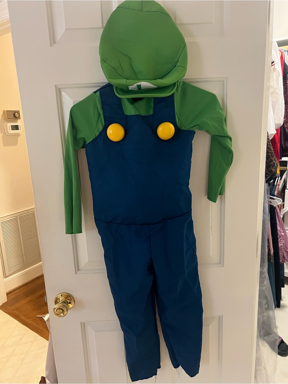 Luigi Kids Green and Blue Mushroom Plumber Costume